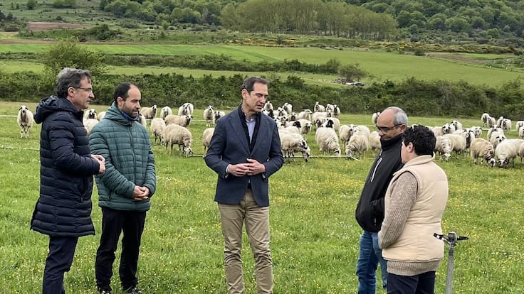 Ayudas a la agricultura ecológica